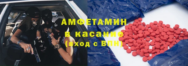 шишки Алексин