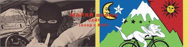 шишки Алексин