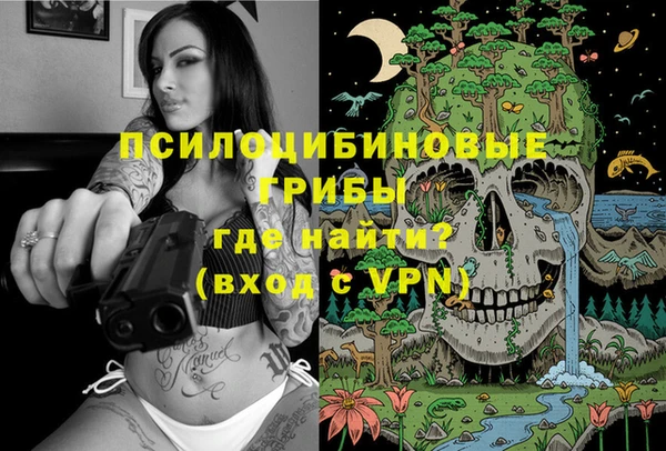шишки Алексин