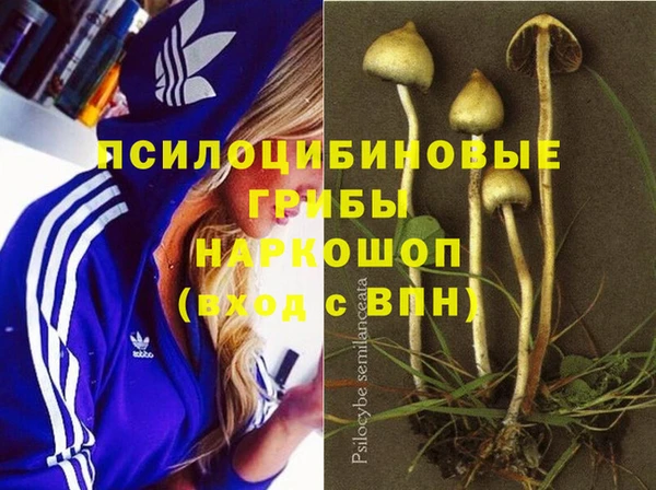 бутират Алзамай